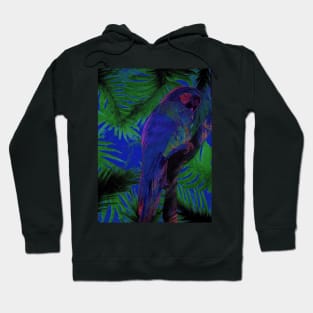 PARROT DECO POSTER MACAW PRINT TROPICAL DESIGN PALM BEACH Hoodie